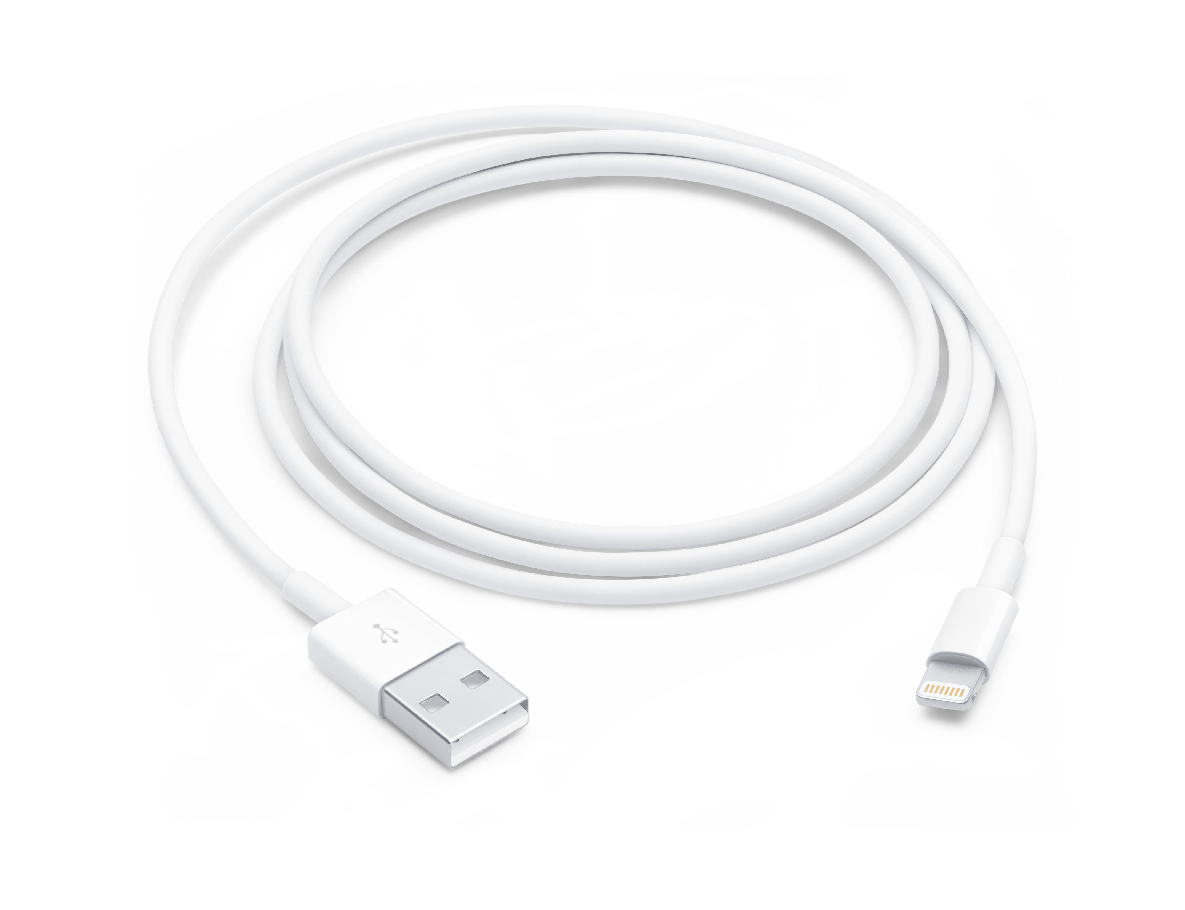 Apple Lightning to USB Cable (1 m)