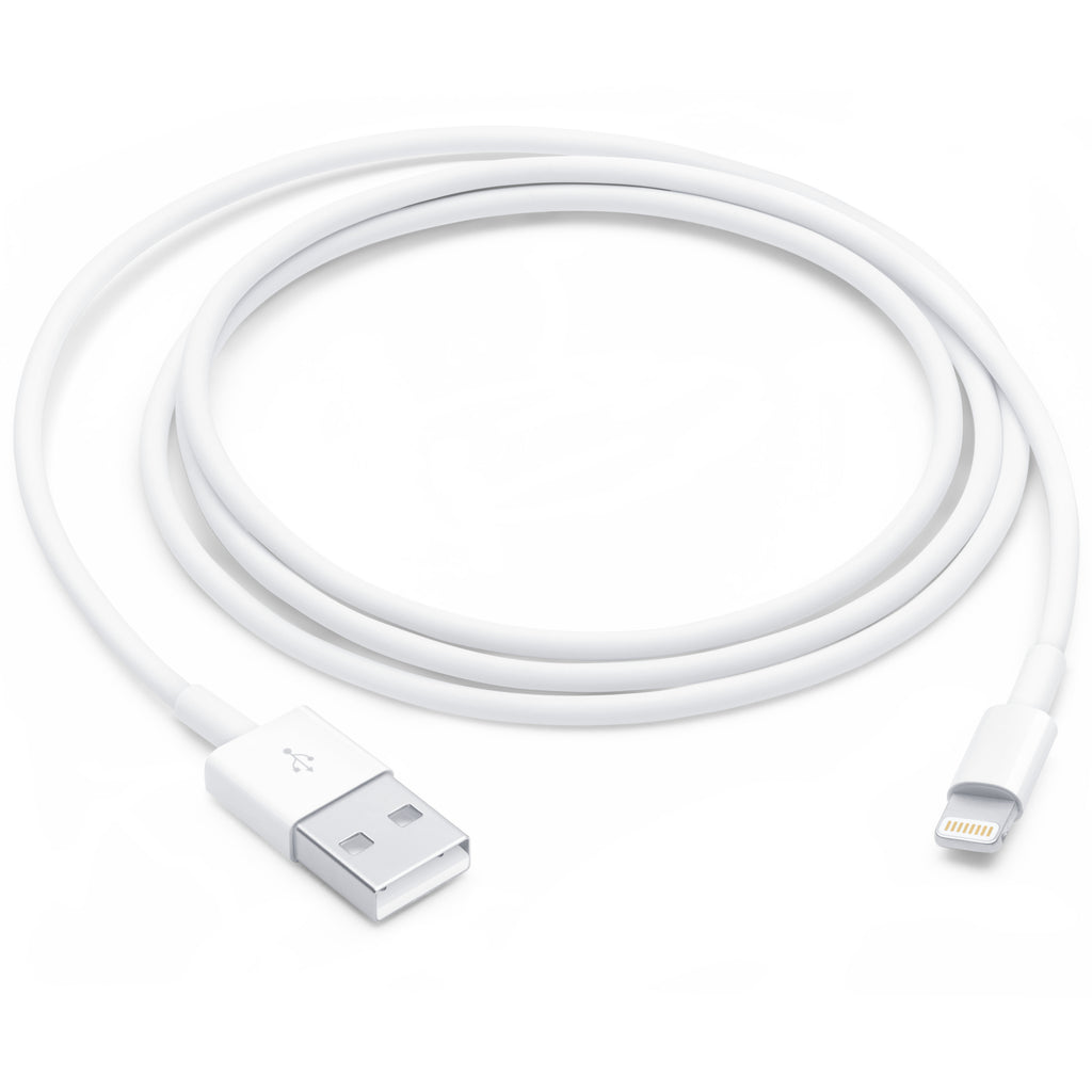 Apple Lightning to USB Cable (1 m)