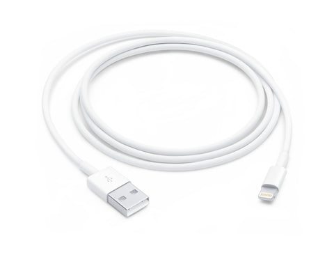 Apple Lightning to USB Cable (1 m)